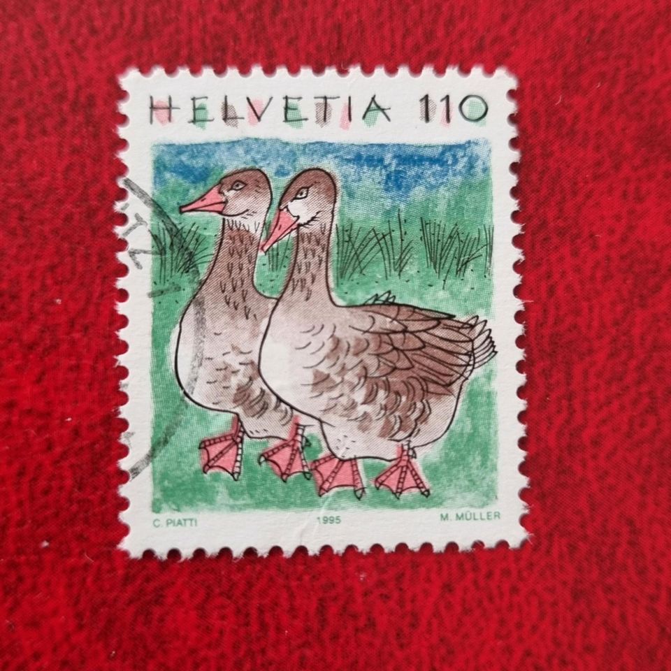 Schweiz Enten Erpel Enterich Wasservogel Briefmarke #2235 in Aurich