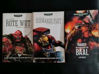Rote Wut, Schwarze Flut, Verheerung von Baal  Warhammer 40k Saarland - Saarlouis Vorschau