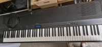 Yamaha P-150 Stagepiano Wandsbek - Hamburg Jenfeld Vorschau