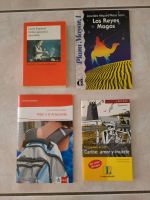 Bücher auf Spanisch, Fremdsprache, zum lernen von Spanisch Baden-Württemberg - Walldorf Vorschau
