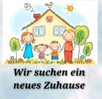 Neues Zuhause gesucht... Baden-Württemberg - Eislingen (Fils) Vorschau