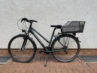 28 Zoll Fahrrad Damenfahrrad mit Körbchen Riverside grau silber Hessen - Egelsbach Vorschau