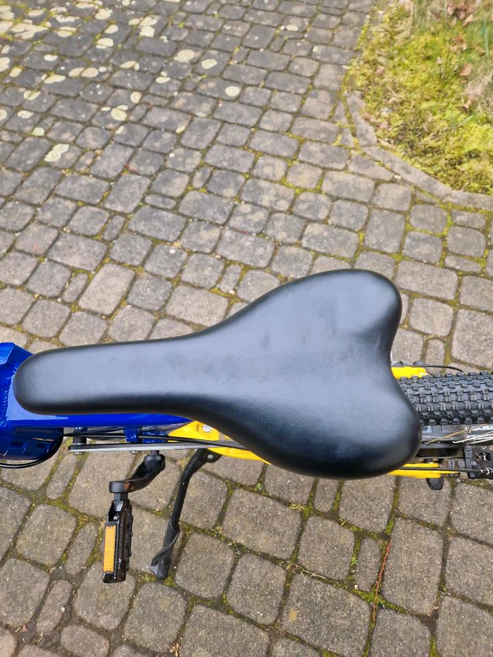 E-Bike "New Holland" in Kitzscher