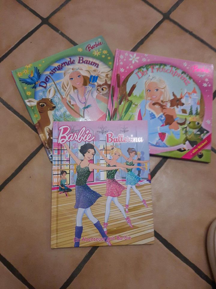 Bücher " Barbie" in Damme