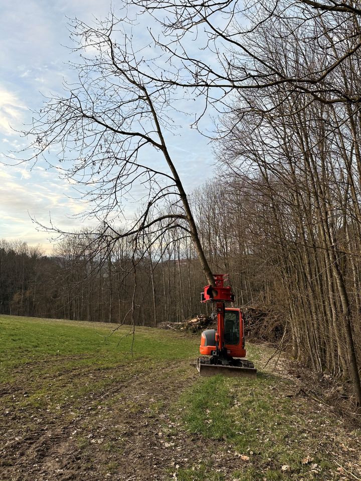 Minibagger 5,5 t Hitachi ZX55U-5A  mieten leihen in Konzell