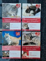 4 Hefte über Katzen, Paketpreis Niedersachsen - Wittmar Vorschau