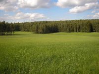 Suche Wiese zum Mähen für Heu Grass selber mähen Thüringen - Sonneberg Vorschau