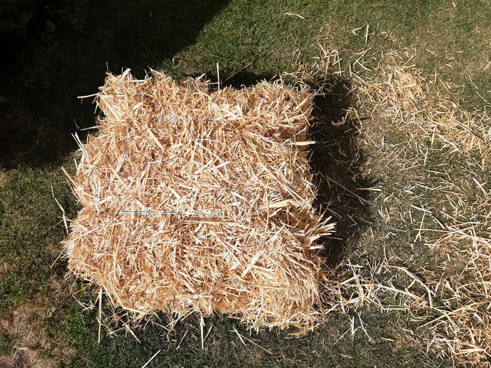 Strohballen(HD Ballen,Heu,Weizen,Gerste,Erbsen,Hafer-stroh) in Borne