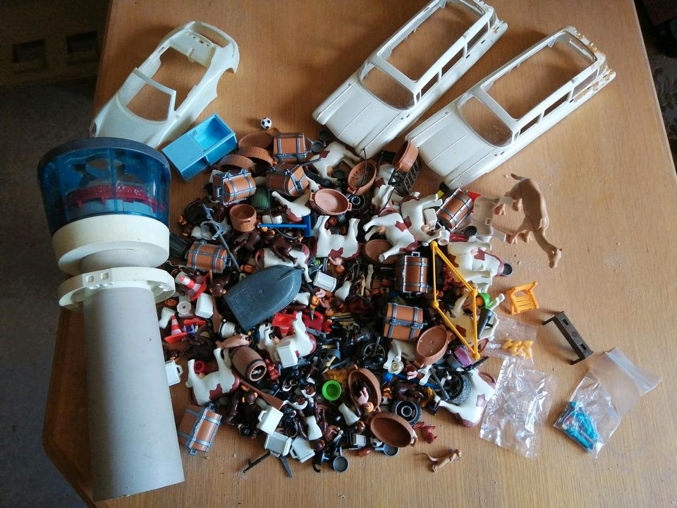 Playmobil Sammlung in Bernsbach 