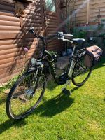 Trekking E-Bike 28“ Rheinland-Pfalz - Mackenbach Vorschau