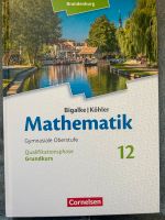Mathe Buch 12. Klasse Brandenburg - Geltow Vorschau