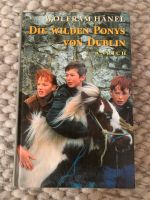 Wolfram Hänel: Die wilden Ponys von Dublin Jugendroman Schleswig-Holstein - Weddelbrook Vorschau