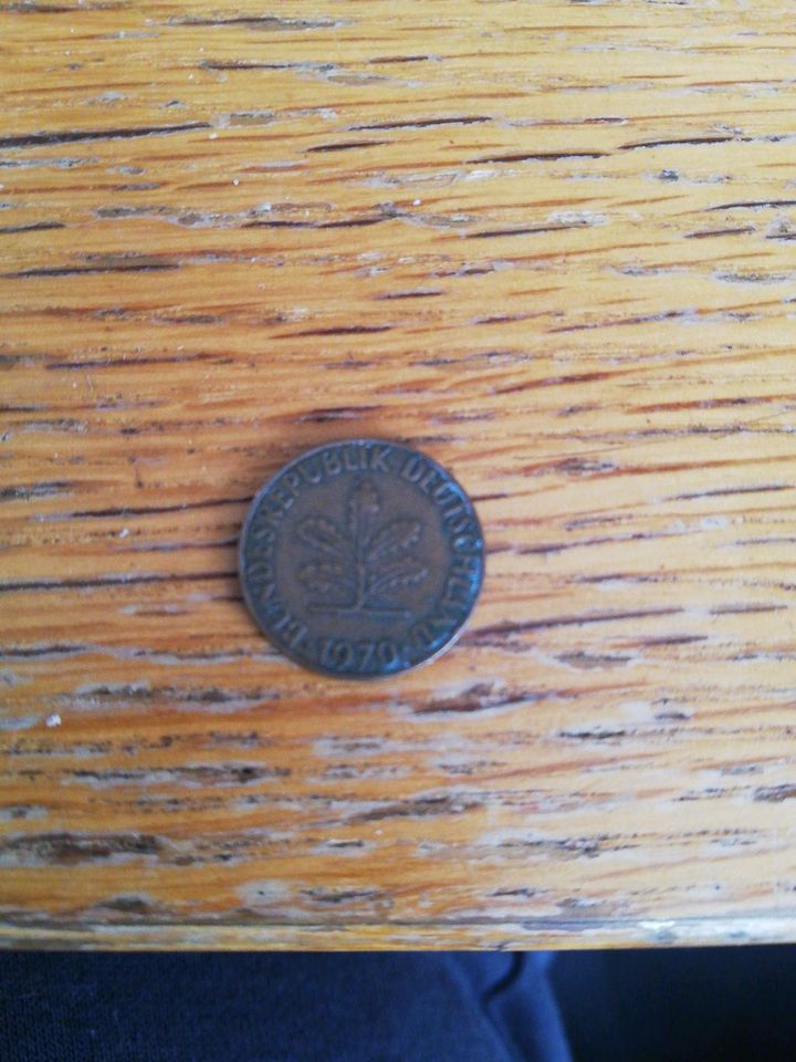 1 pfennig Münze in Groß Düben