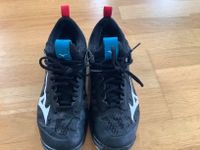 Mizuno Wave Momentum, Volleyballschuhe Gr. 40 Pankow - Prenzlauer Berg Vorschau