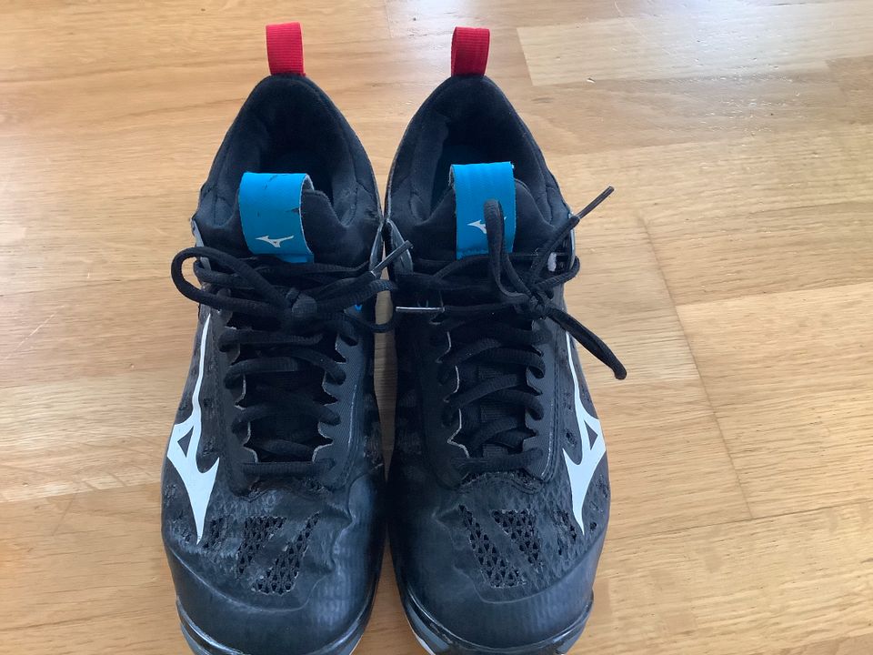 Mizuno Wave Momentum, Volleyballschuhe Gr. 40 in Berlin