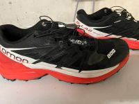 Salomon Trailrunning Laufschuhe S-Lab Wings 8 Outdoorschuhe Rheinland-Pfalz - Edesheim (Pfalz) Vorschau