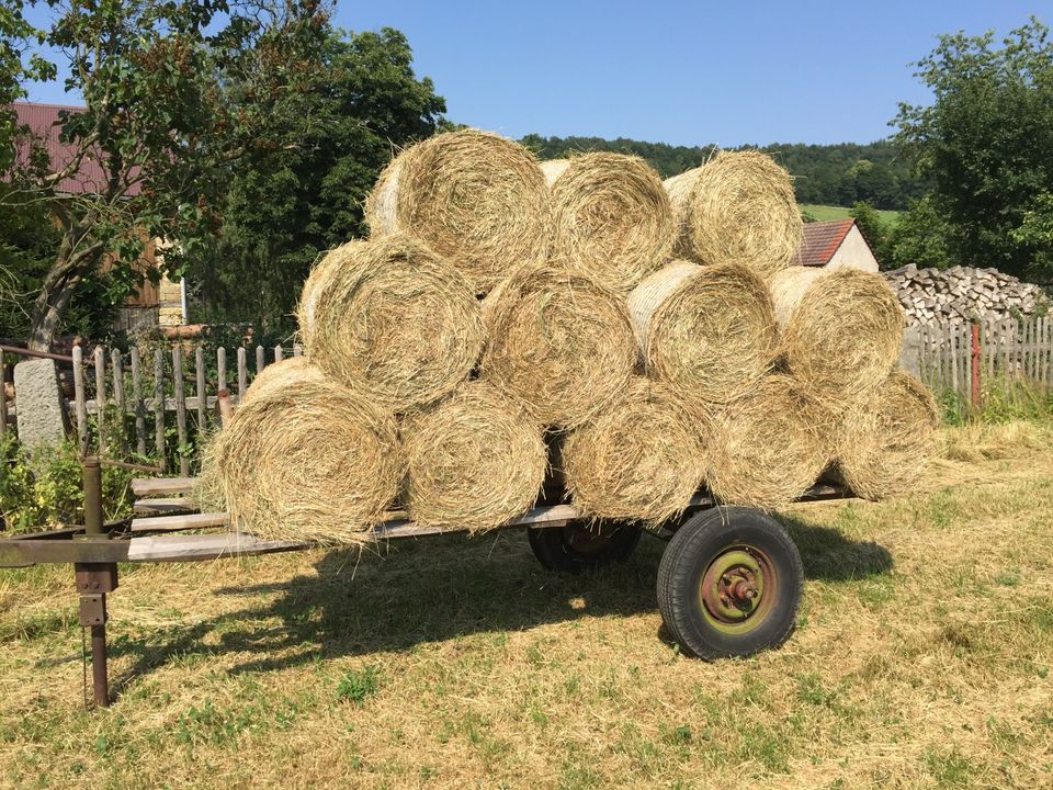 Heu kleine Rolle in Bad Gottleuba-Berggießhübel