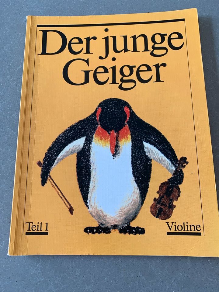 Der junge Geiger in Roßdorf