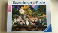 Ravensburger Puzzle 1000 Teile Bitte Lächeln Nordrhein-Westfalen - Marsberg Vorschau