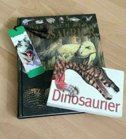 2 Dinosaurier Bücher Kids "das Reich der Dinosaurier" Niedersachsen - Uelzen Vorschau