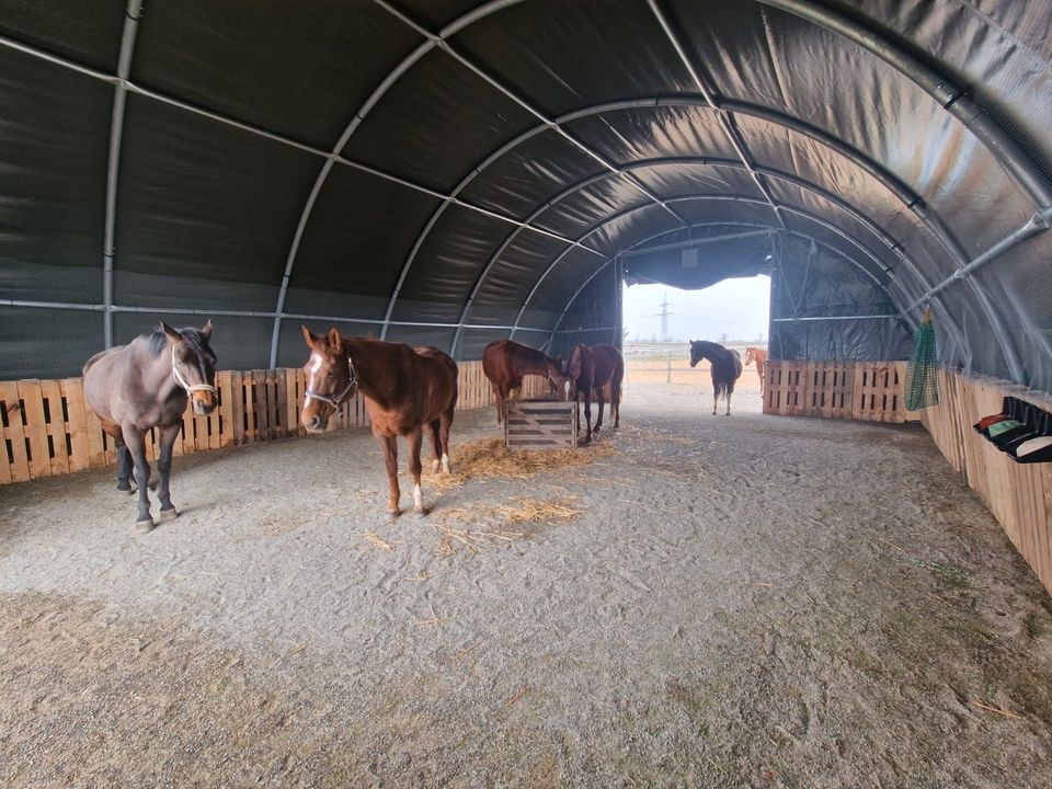 9 x 12 Meter - Grün - Nutztierhalle - Stall - Gehege - Rundbogenkonstruktion - Weidezelt - Landwirtschaft Forstwirtschaft Agrarwirtschaft Viehzucht Strohlager Heuballen Holz Werkstatt Fahrzeughalle in Hamburg