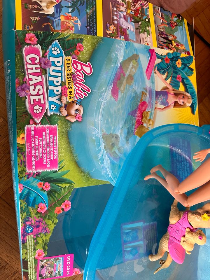 Barbie Pool Hund Welpe Schwimmen in Dinslaken