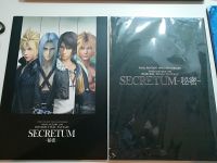 Final Fantasy SECRETUM Himitsu - Script & Booklet - sehr selten Wuppertal - Ronsdorf Vorschau