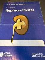 Medi Learn Nephron Poster Rheinland-Pfalz - Albisheim (Pfrimm) Vorschau