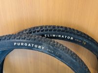 Specialized Purgatory/Eliminator Grid MTB Reifen Set Baden-Württemberg - Großbettlingen Vorschau