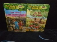 Abenteuer mit dem magischen Baumhaus 10,11,27,28,32,33,35,40 Wandsbek - Hamburg Tonndorf Vorschau