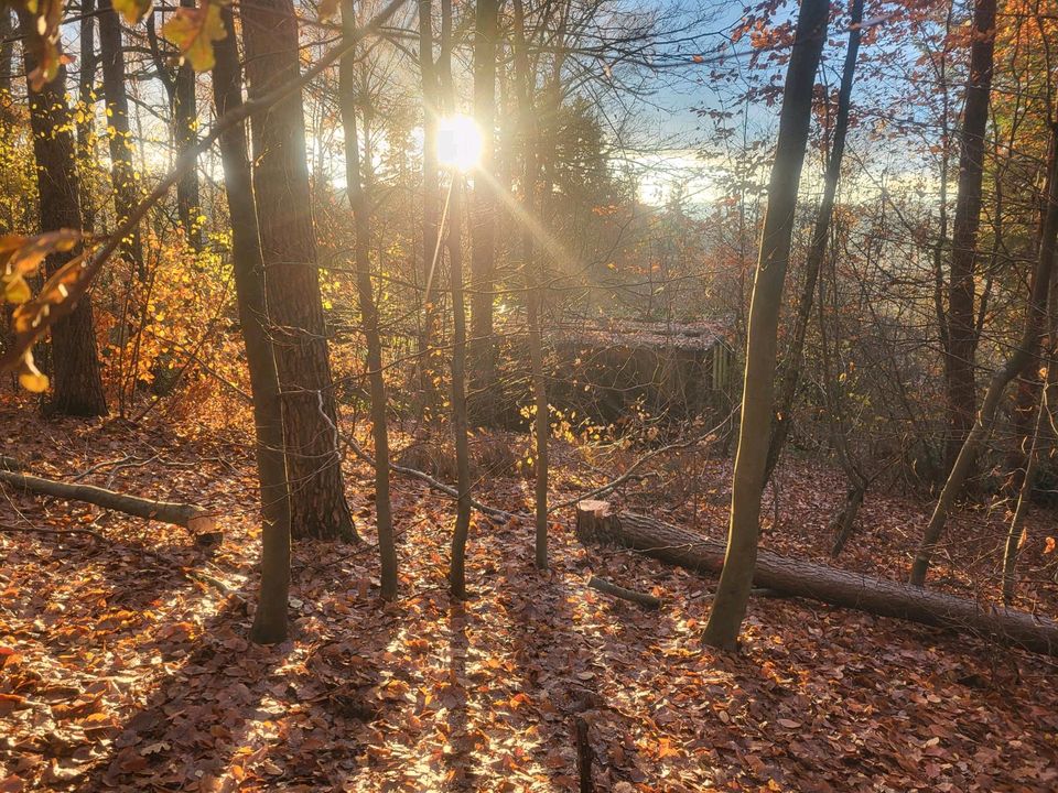 Suche Wald / wisen Grundstück in Fürth