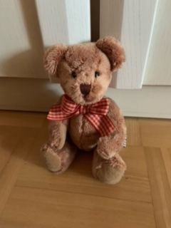 Diverse Teddybären Stk. 12,-EUR in Herscheid