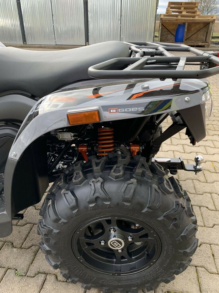 Frühlingsaktion ATV Quad Goes Iron 450 ltd. Grey/Green in Waltershausen