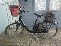 E-Bike Gazelle Arroyo C7, 28 Zoll Damenfahrrad Nordrhein-Westfalen - Lotte Vorschau