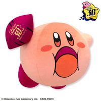 XL Nintendo Kirby 30th Anniversary Plüschi Kuscheltier - NEU Lübeck - St. Lorenz Süd Vorschau