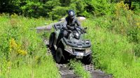 Fahrspaß bei einer genialen Quadtour Onroad & Offroad 4h Rheinland-Pfalz - Nachtsheim Vorschau