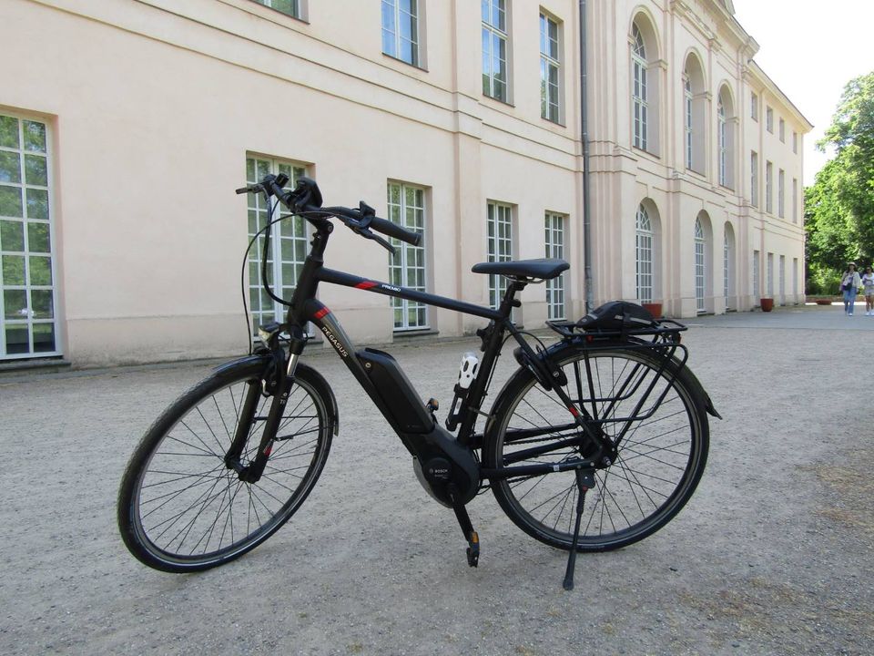 Pegasus 28'' E-Bike 58 cm Premio E8F Sport (2018) Fahrrad 2000 KM in Berlin