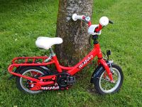 Pegasus Kinderfahrrad 12 Zoll Hand und Rückbremse rot Top Zustand Bayern - Eching (Niederbay) Vorschau