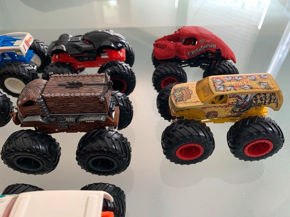 Original Hot Wheels Monster Trucks 1:64 Monster Jam in Hünxe