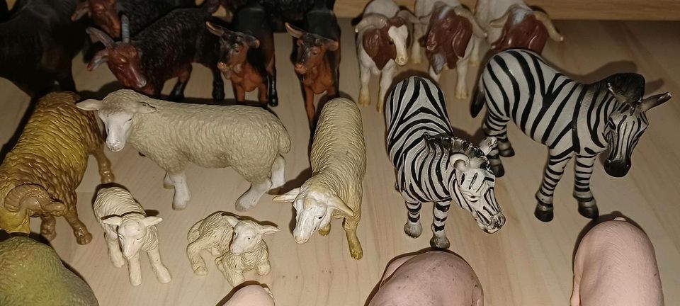 Schleich Tiere Kuh Schwein Schaf Esel Ziege Widder Zebra Hirsch in Berlin