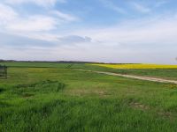 ruhig gelegenes Baugrundstück in der Mecklenburgischen Seenplatte Mecklenburg-Vorpommern - Tützpatz Vorschau