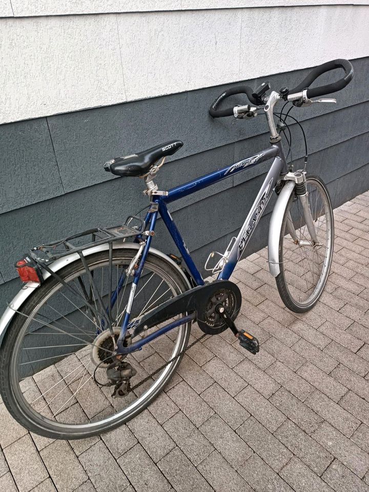 Herren Fahrrad 28 zoll in Groß-Zimmern