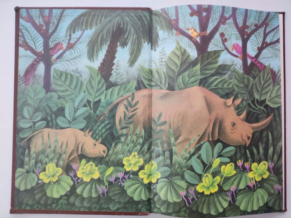 Kili der Rüsselaffe Ein Urwaldmärchen DDR Kinderbuch von 1982 in Möser