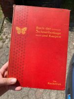 Buch der Schmetterlinge und Raupen von Rockstroh 1901 Antik Niedersachsen - Goslar Vorschau