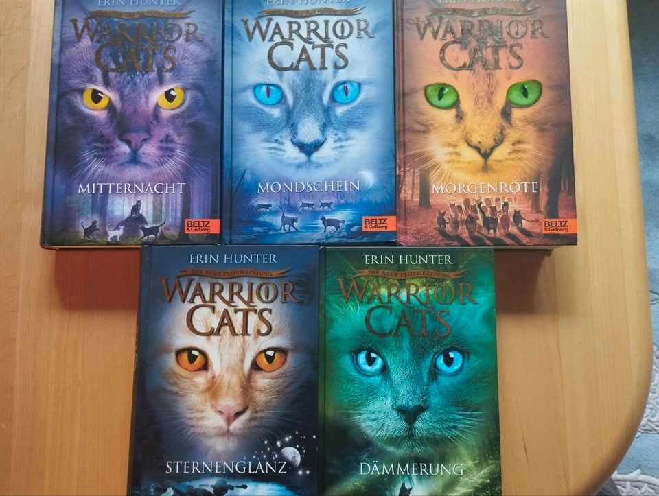 Warrior Cats, Staffel 2, 5 Bücher gebunden in Reinfeld