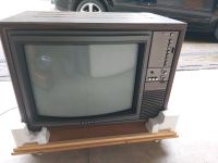 Sony Röhre Fernseher Triniton neu Antik Nordrhein-Westfalen - Herten Vorschau