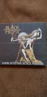 CD Black Mirrors  "Look Into The Black Mirror " Pankow - Weissensee Vorschau