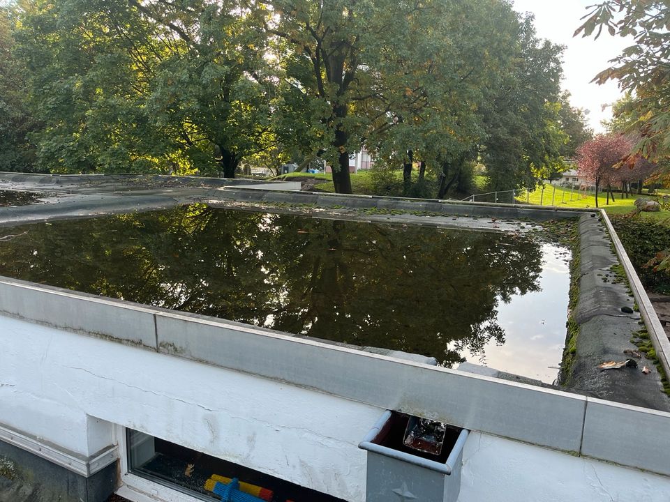 WIR DICHTEN AB! EPDM- Abdichtung Flachdach, Carport u.v.m. in Elmshorn