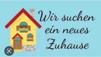 Suche ab 4 Zimmer Wohnung Wattenscheid Essen - Essen-Kray Vorschau