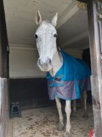 Regendecke/ Paddockdecke 145cm ,Polarfleece,600D ,BASICLINE Niedersachsen - Pattensen Vorschau